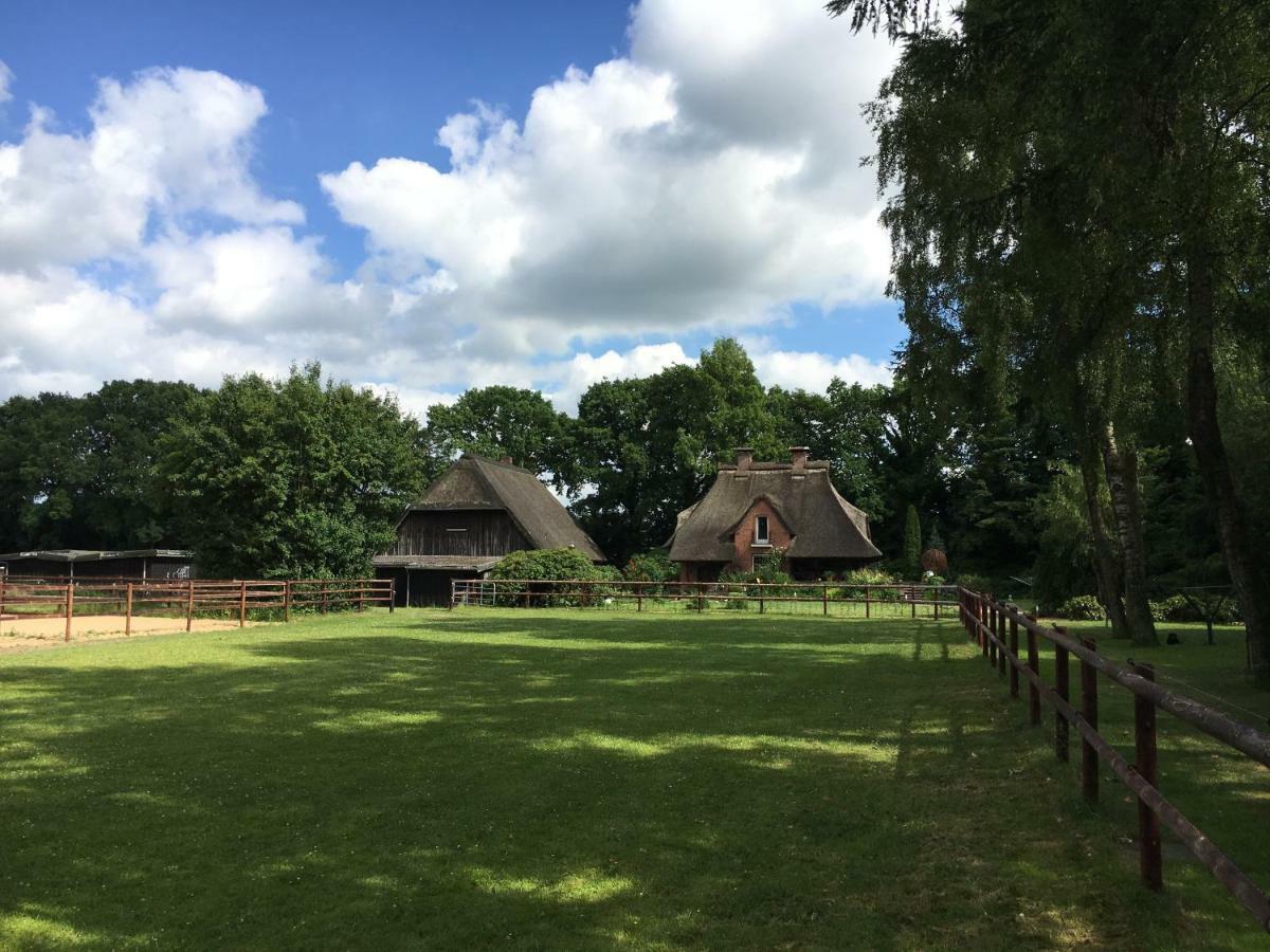 Huck'S Ferienhaeuser Borstel  Exterior foto